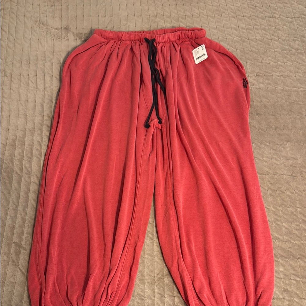 Free People Momentum Pants in cranberry size small.   NWT